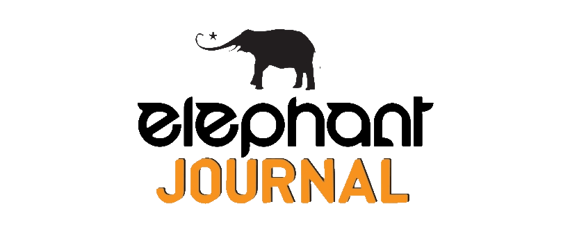 elephant journal