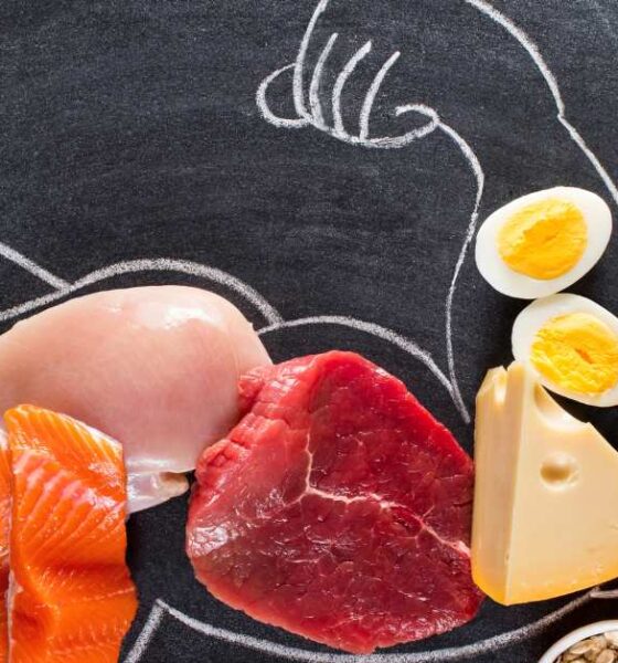 importance of protein
