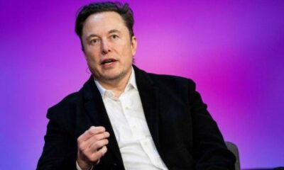 quotes by Elon musk