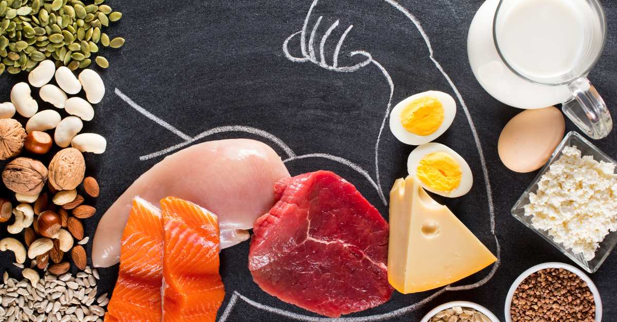 importance of protein