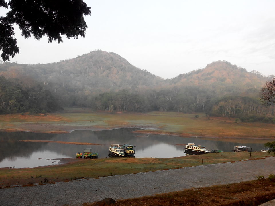 Periyar Lake